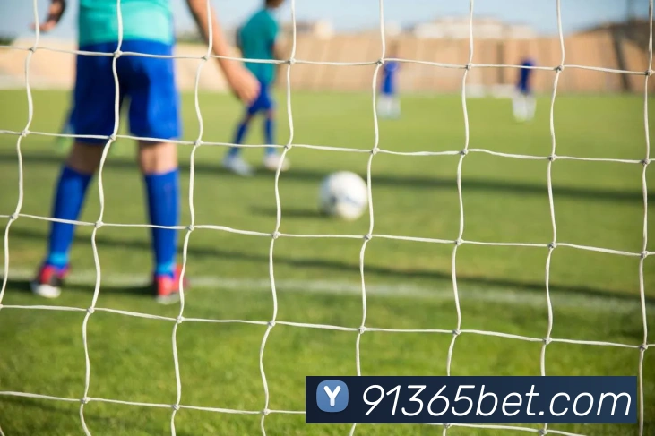 bet365com英国上市公司平台生态图